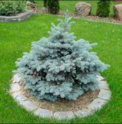 scale_1200